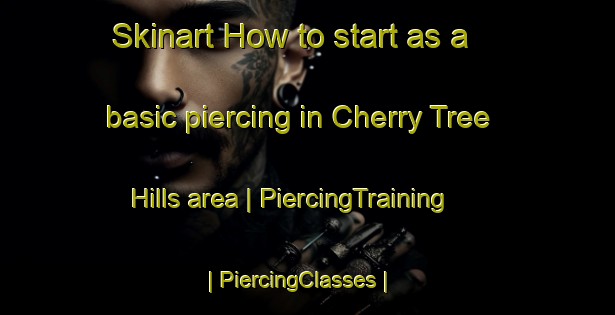 Skinart How to start as a basic piercing in Cherry Tree Hills area | PiercingTraining | PiercingClasses | SkinartTraining-United States